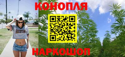mdpv Владикавказ