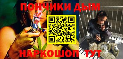 стаф Владимир