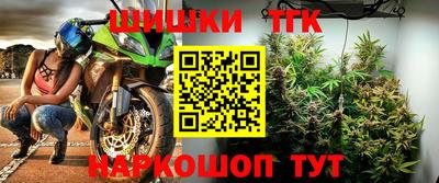стаф Владимир