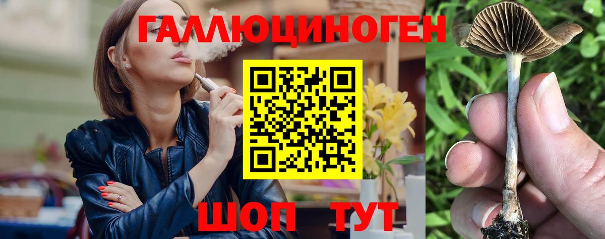 Псилоцибиновые грибы Cubensis  Вход с VPN  Мытищи 