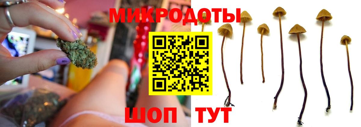 Псилоцибиновые грибы Cubensis Мытищи